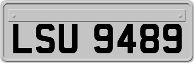 LSU9489