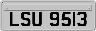 LSU9513
