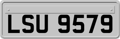 LSU9579