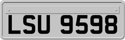 LSU9598