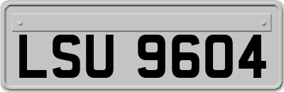 LSU9604