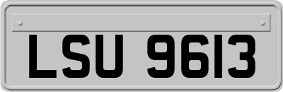 LSU9613