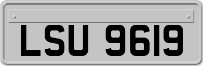 LSU9619