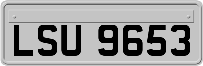 LSU9653