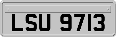 LSU9713