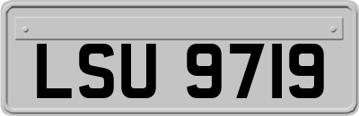 LSU9719