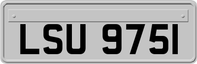 LSU9751