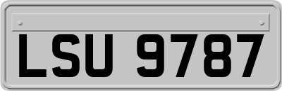 LSU9787