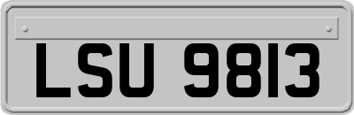 LSU9813