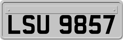 LSU9857