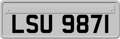 LSU9871