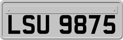 LSU9875