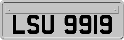 LSU9919