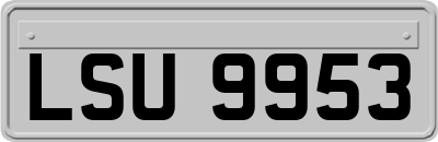 LSU9953