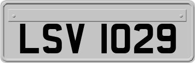 LSV1029