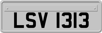 LSV1313
