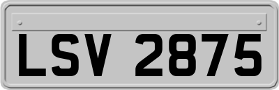 LSV2875