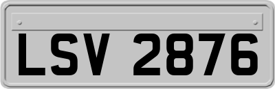 LSV2876