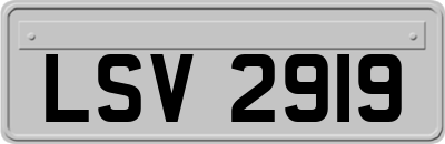 LSV2919