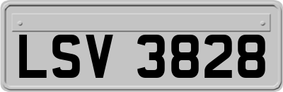 LSV3828