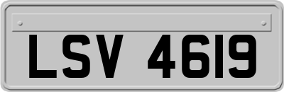 LSV4619