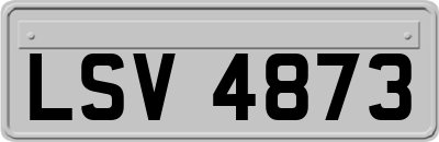 LSV4873