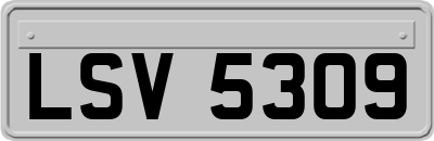 LSV5309