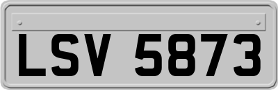 LSV5873