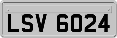 LSV6024
