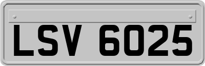 LSV6025