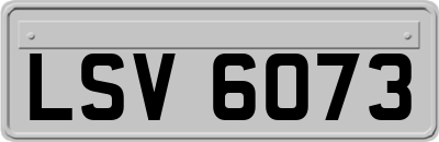 LSV6073