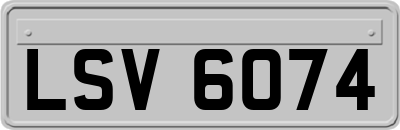 LSV6074