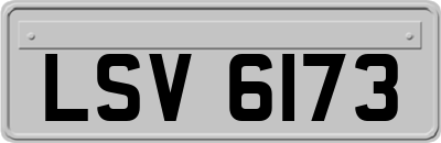 LSV6173