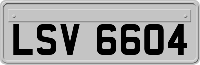 LSV6604