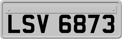 LSV6873