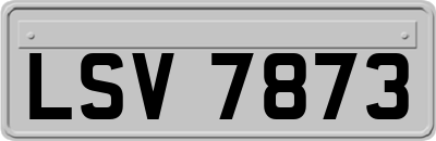 LSV7873