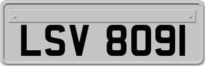 LSV8091