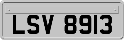 LSV8913