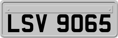 LSV9065