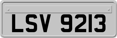 LSV9213