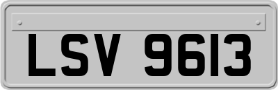 LSV9613