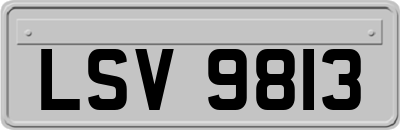 LSV9813