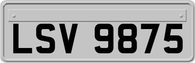 LSV9875