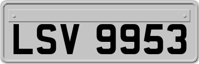 LSV9953