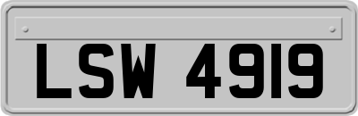 LSW4919