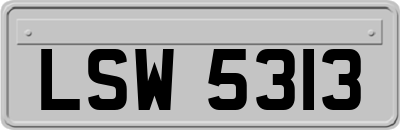 LSW5313