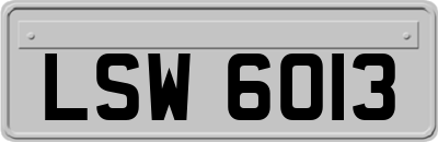 LSW6013