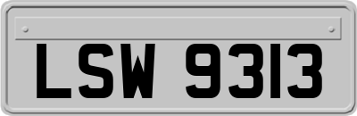 LSW9313