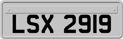 LSX2919