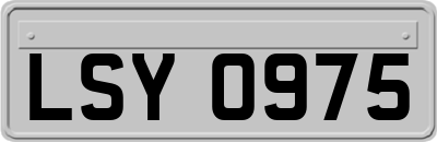 LSY0975